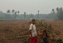 Peringatan KNPI Malut: Hutan Sagu Kao Barat Jangan Jadi Korban Proyek Gagal